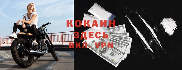 твердый Балахна