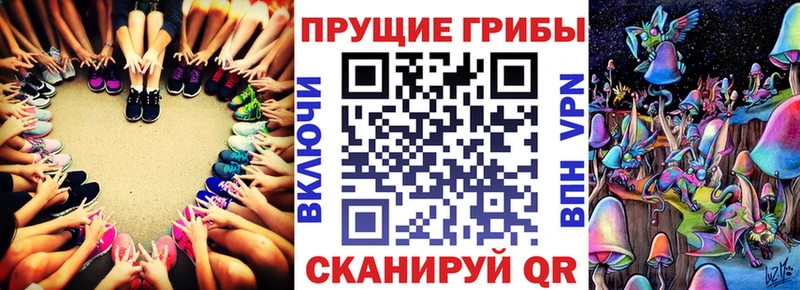 Псилоцибиновые грибы мицелий Реутов