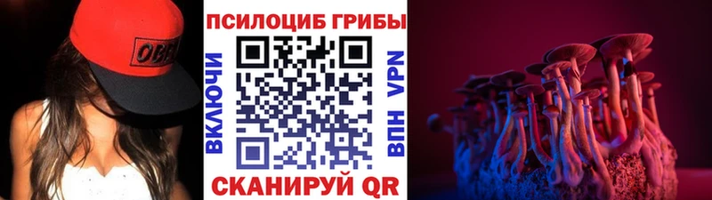 мега ссылка  Реутов  Псилоцибиновые грибы Psilocybe  где купить наркоту 